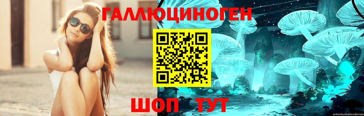 Гулькевичи  Галлюциногенные грибы MAGIC MUSHROOMS  Вход с VPN 